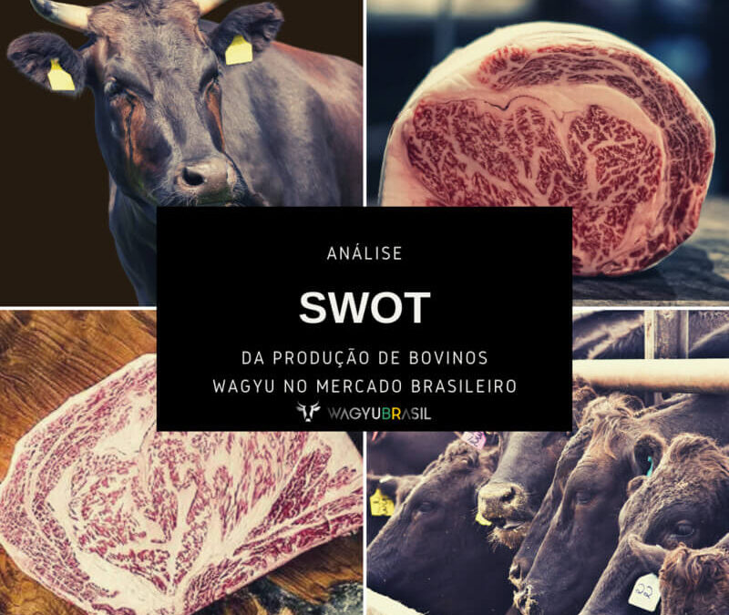 Análise SWOT da produção de bovinos Wagyu no mercado brasileiro