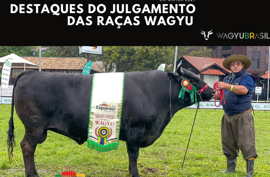 Confira os destaques das Raças Wagyu na Expointer 2021