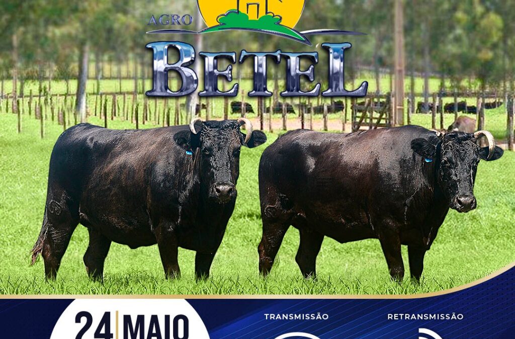 SAVE THE DATE 24/05 – II Leilão AgroBetel – Confira listagem de lotes.