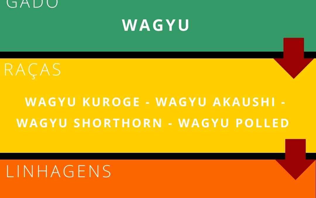 Conheça as principais Linhagens das Raças Wagyu