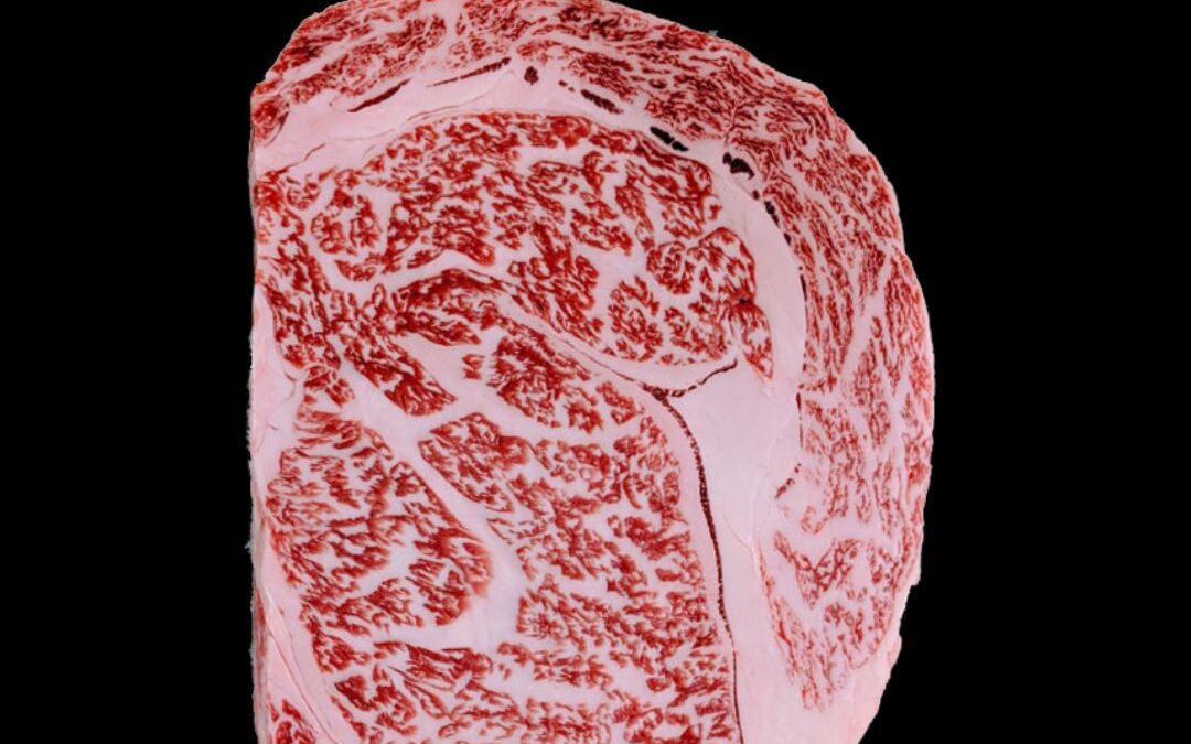 Quais são as diferenças entre a carne Wagyu comparada às demais?