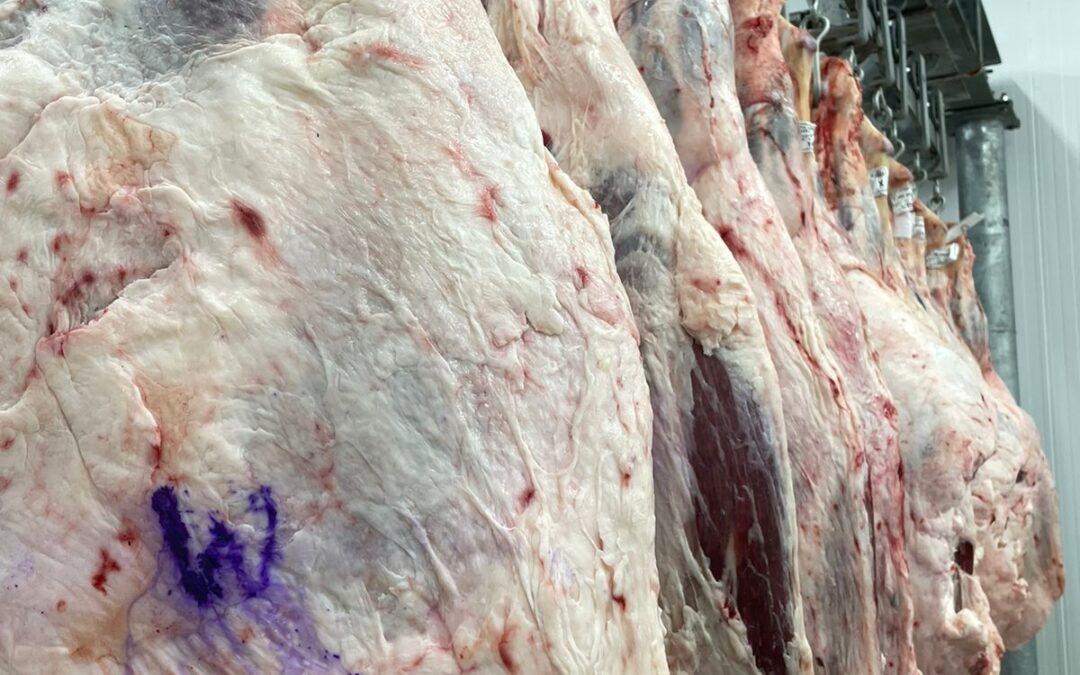 Programa Carne Wagyu Certificada conta com novas regras de certificação
