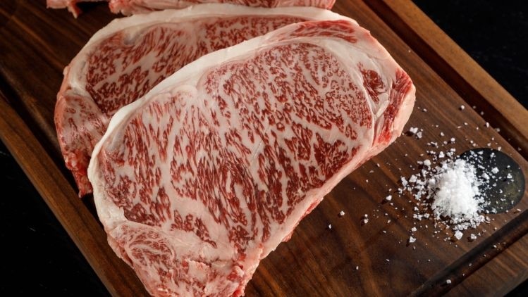 Ultrassonografia de carcaça interpretação de resultados para o Wagyu