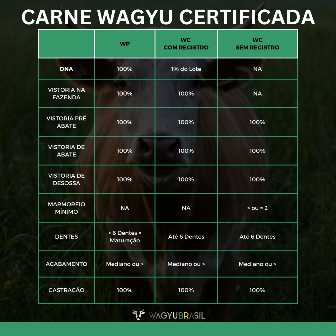 quadro resumo carne wagyu certificada