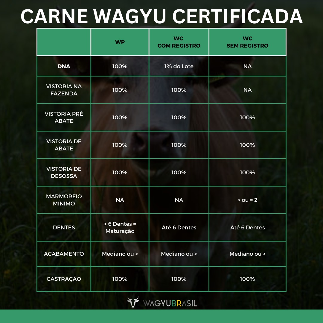 quadro resumo carne wagyu certificada