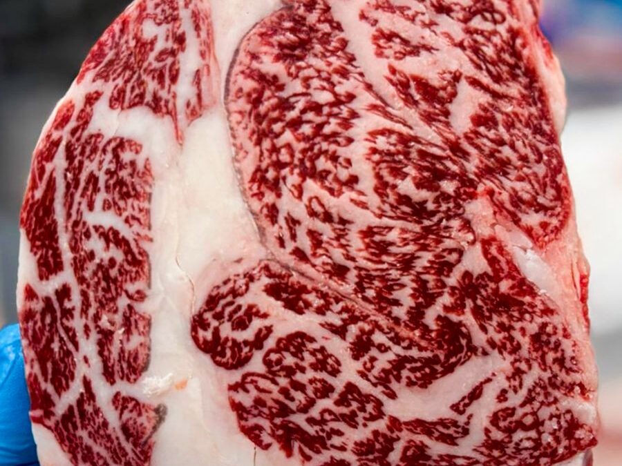 Leilão beneficente vai ofertar carne Wagyu com marmoreio máximo