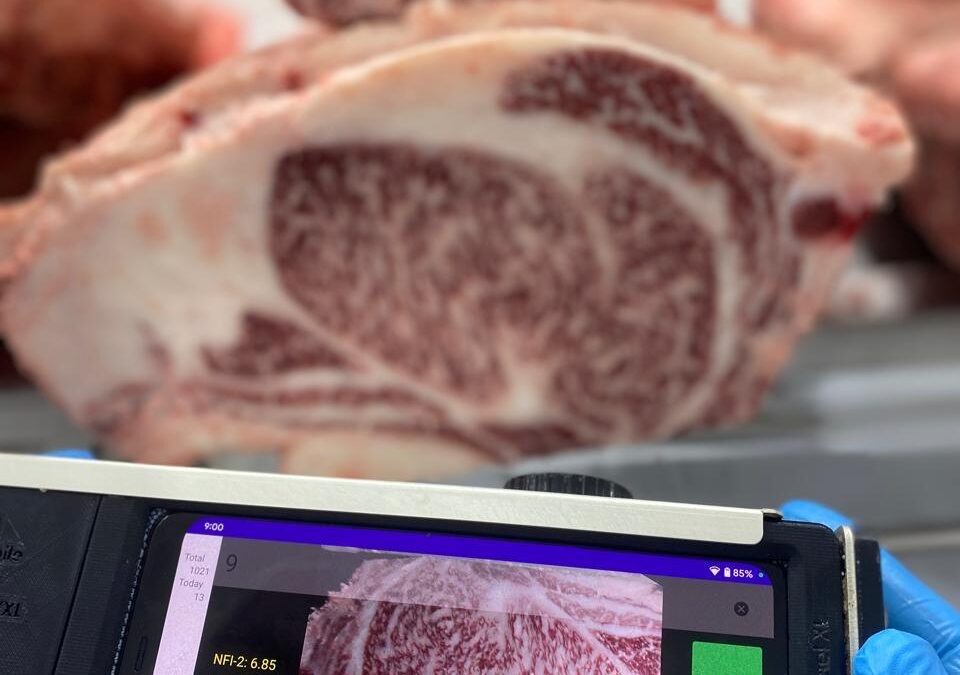 Um Marco Histórico para o Wagyu no Brasil