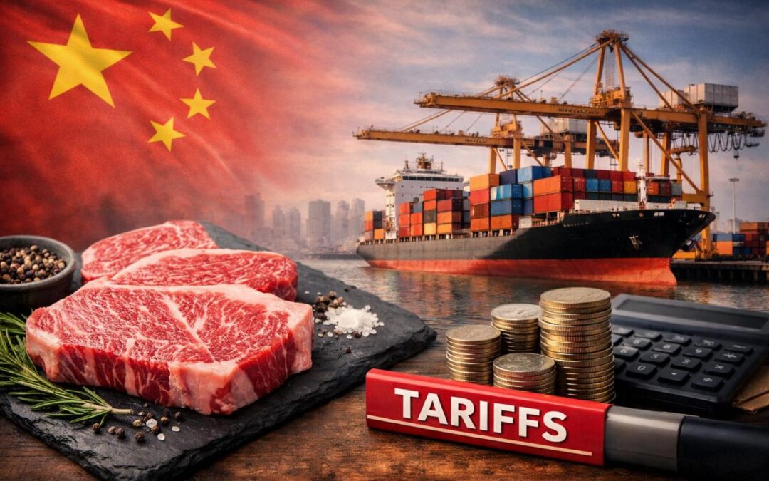 Exportação de Wagyu: como tarifas chinesas podem mudar o mercado em 2026